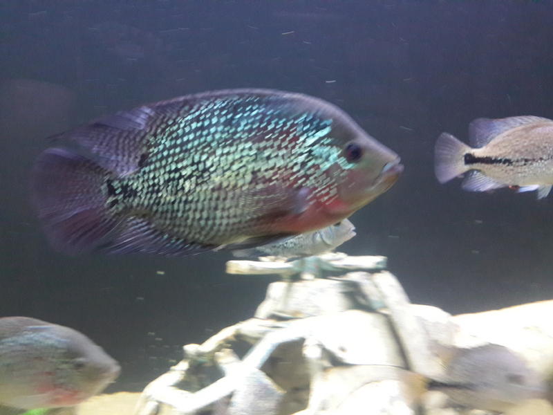 20140209_101211.jpg