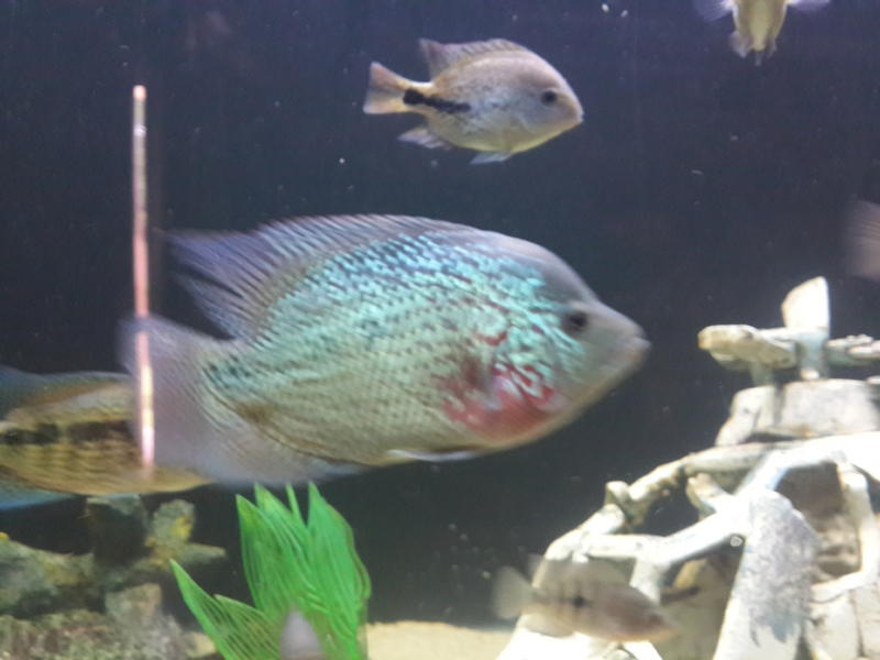 20140209_101224.jpg