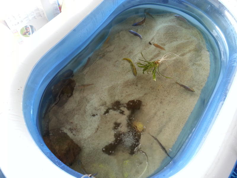 20140222_124451.jpg