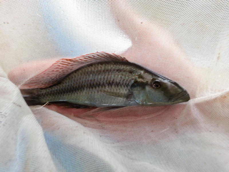 20140222_124800.jpg