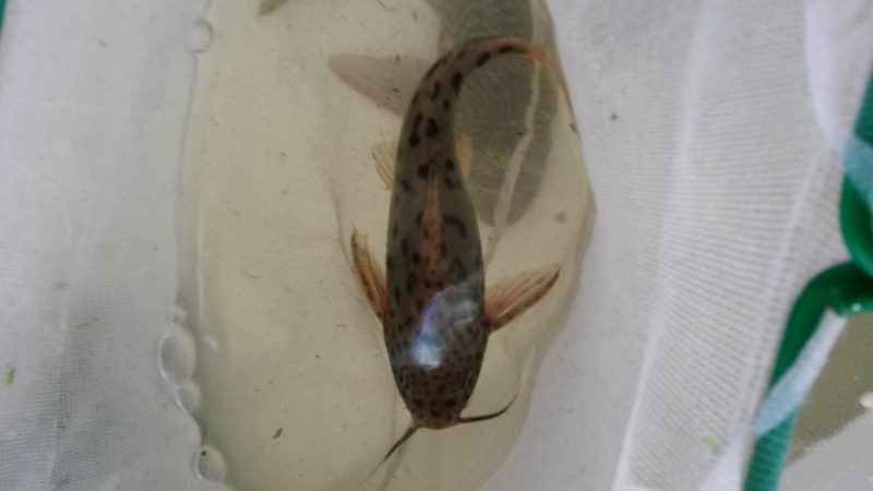 20140401_132553.jpg