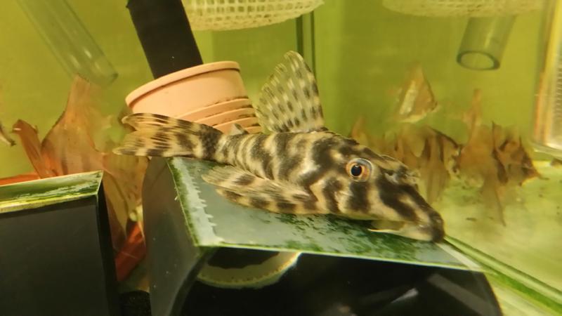 20140603_052704.jpg