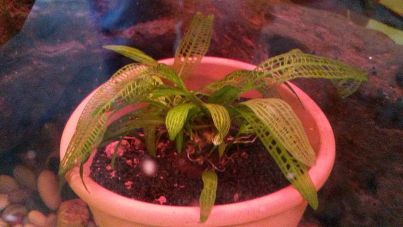 20140706_144839.jpg