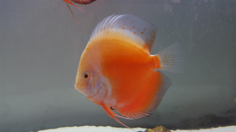 20150110_091615.jpg