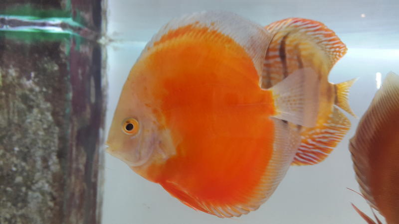 20150110_091638.jpg