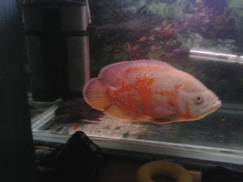 20150112_212721.jpg