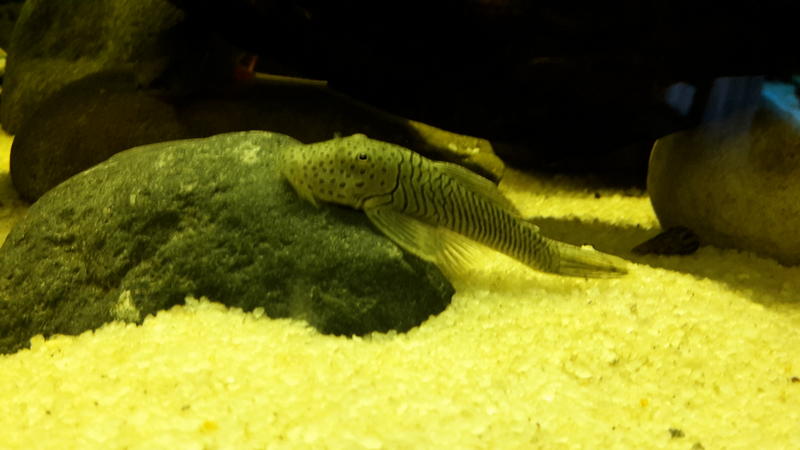 20150412_073531.jpg