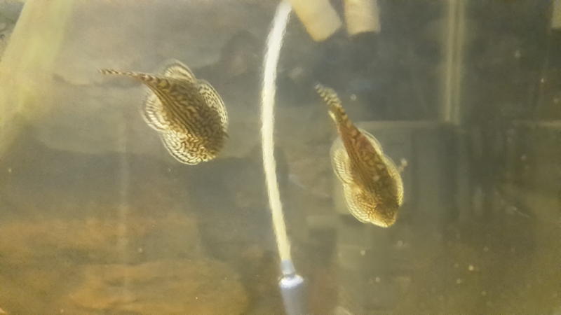 20150414_173911.jpg