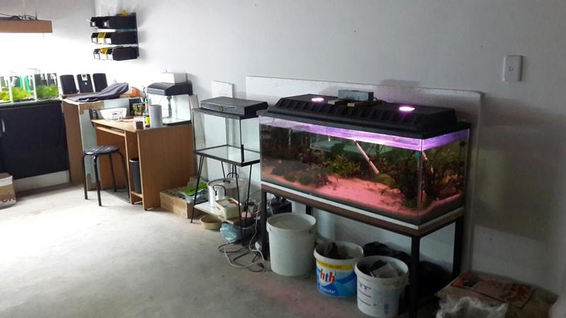 20150416_190432_resized.jpg