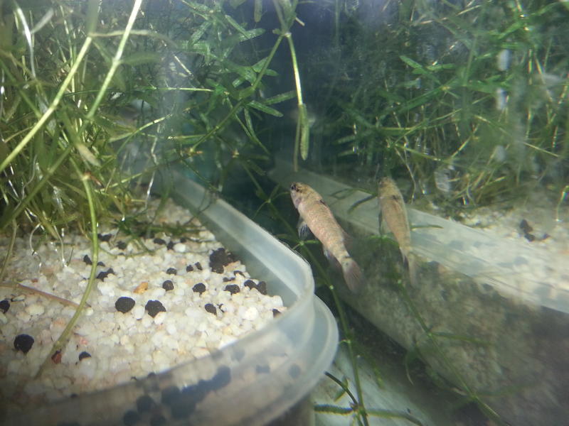 20150618_185127.jpg