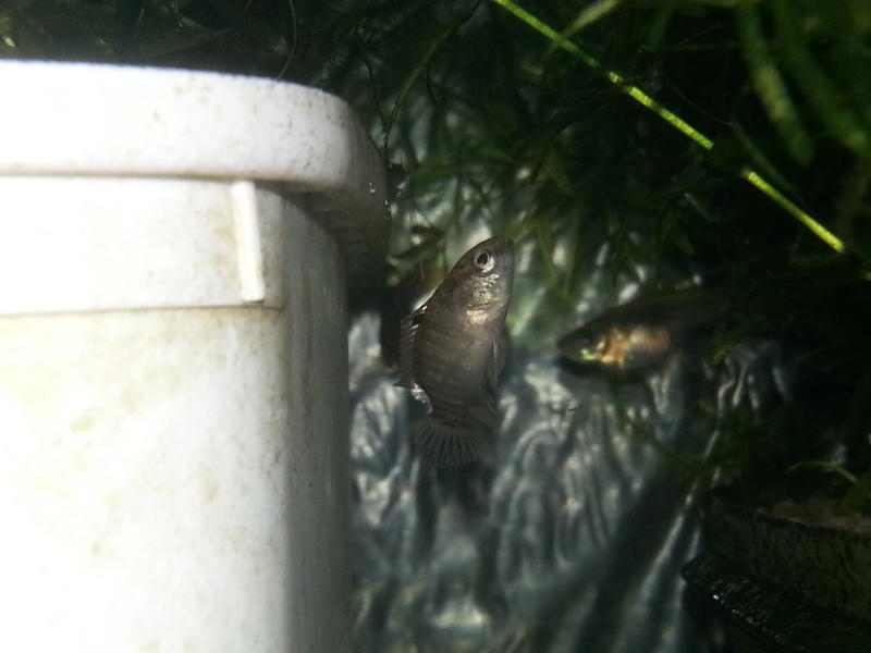 20150618_185554.jpg