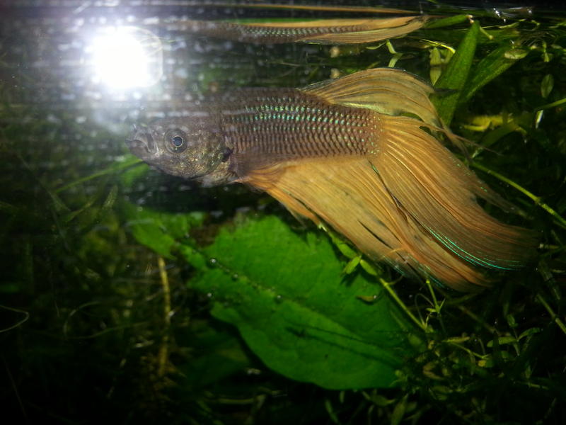20150618_185648.jpg