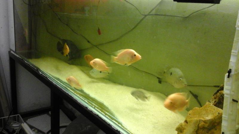 20150714_225516.jpg