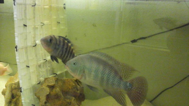 20150714_230614.jpg