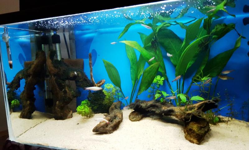 20150728_182946.jpg