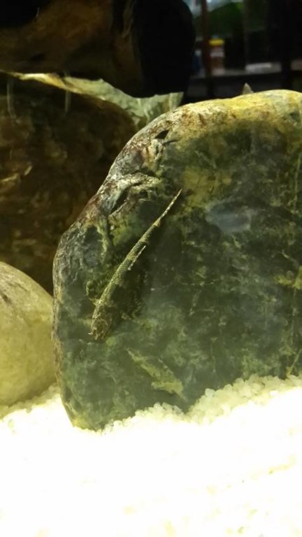20150813_160403.jpg