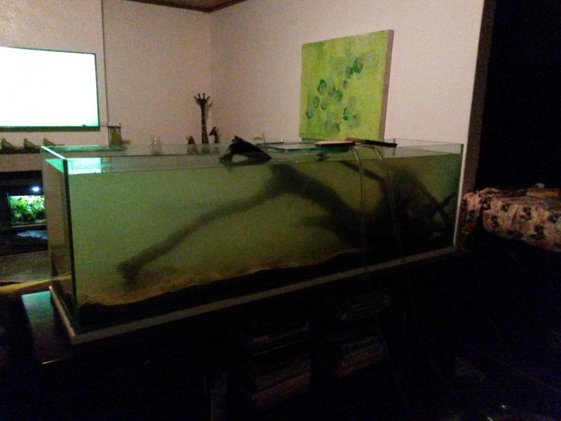 20150816_213902.jpg