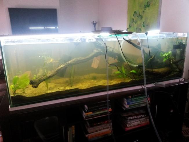 20150819_141018small.jpg