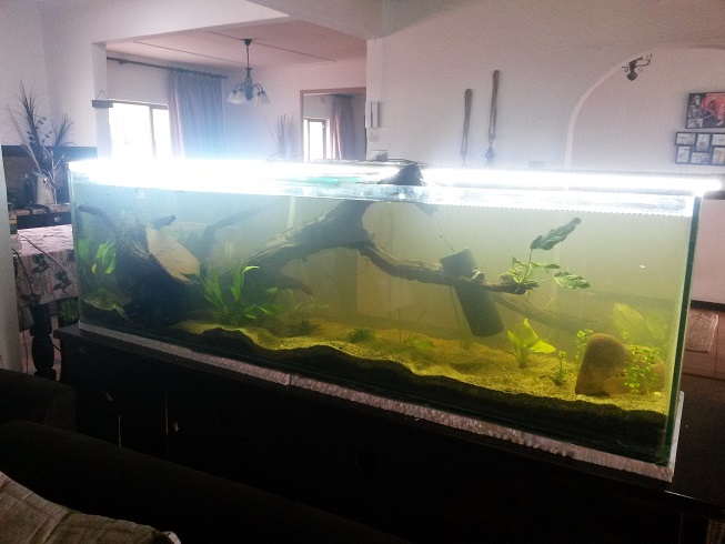 20150819_141031small2.jpg