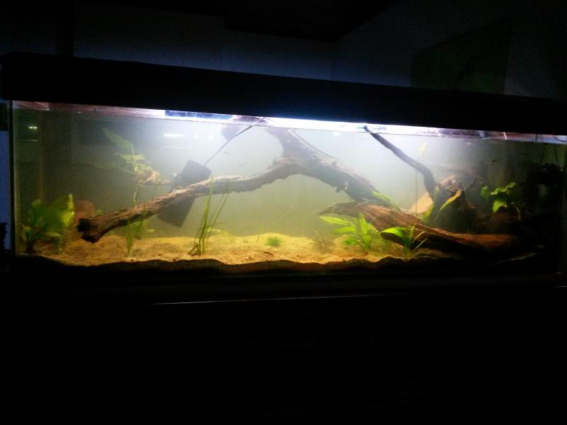 20150819_204455.jpg