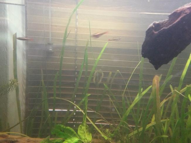 20150913_112731small.jpg