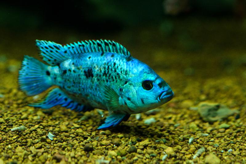 2016 03 31_2820_edited-1.jpg