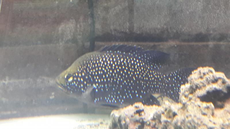 20160504_214506.jpg
