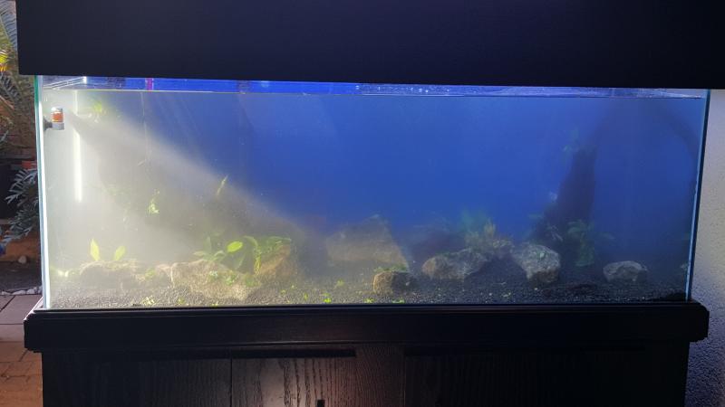 20160802_143445.jpg