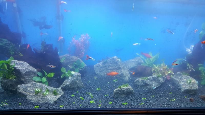 20160802_165054.jpg
