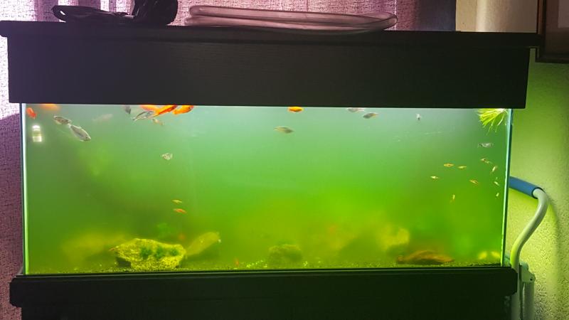 20160824_144018.jpg