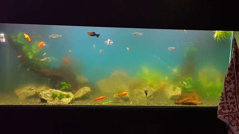 20160825_123141.jpg