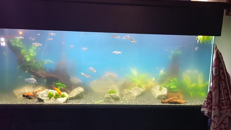 20160825_155717.jpg