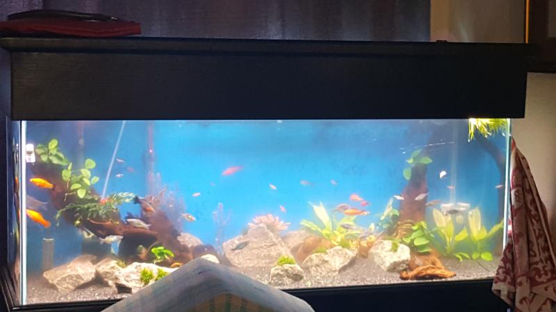 20160826_075107.jpg