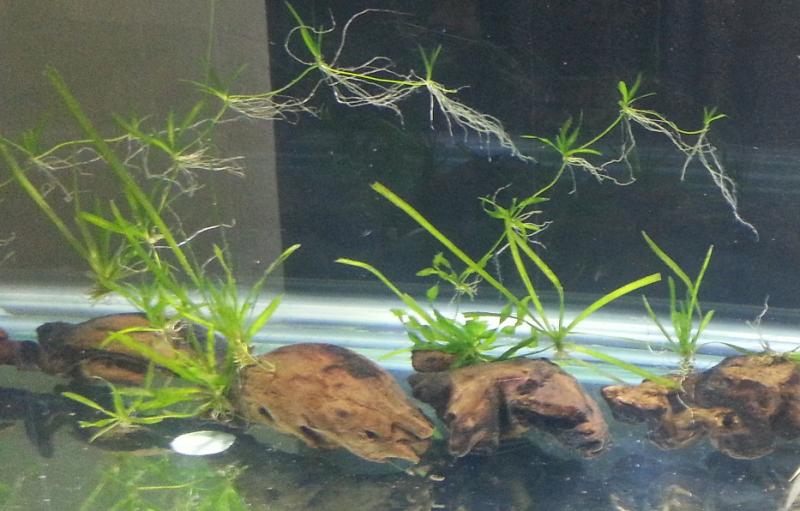 20160828_150435.jpg