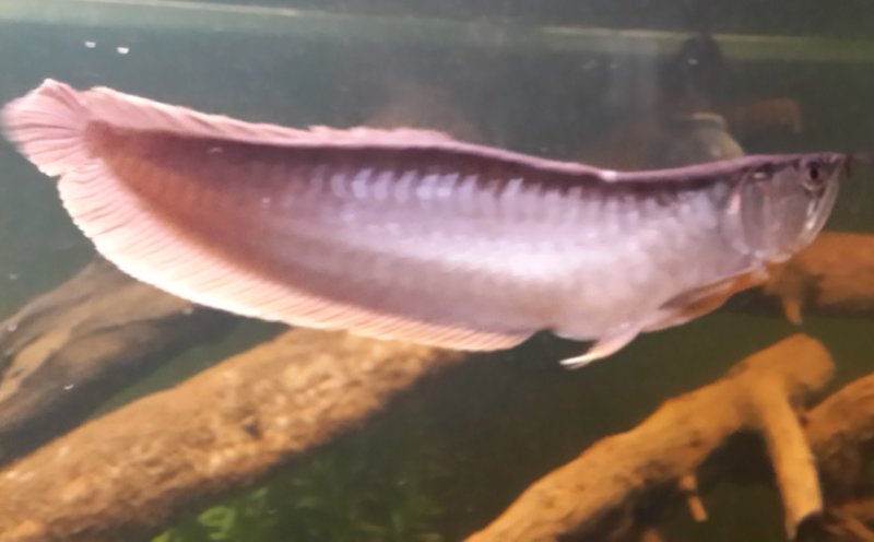 20161128_190819.jpg