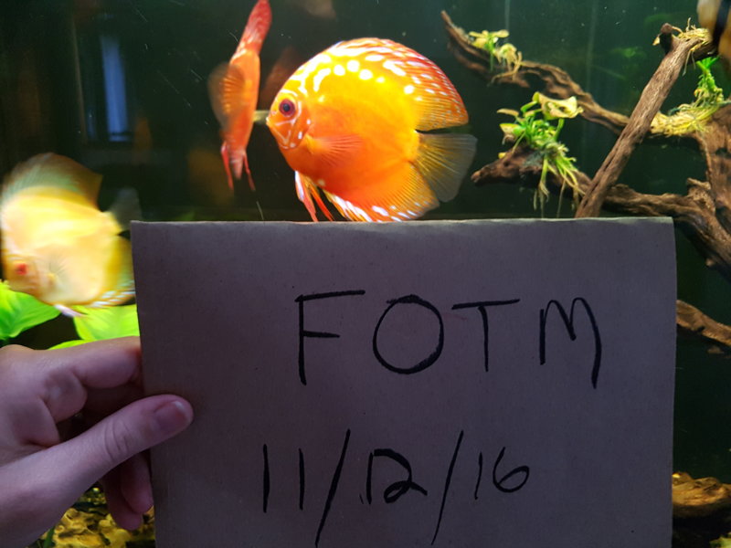 20161211_175116.jpg