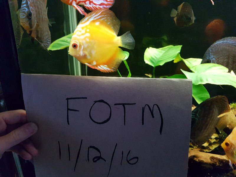 20161211_175152.jpg