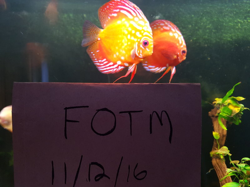 20161211_175755.jpg