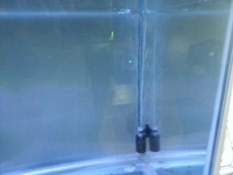20170113_191334.jpg