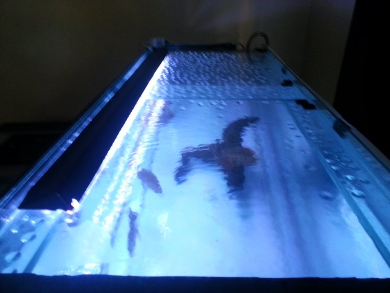 20170113_191340.jpg