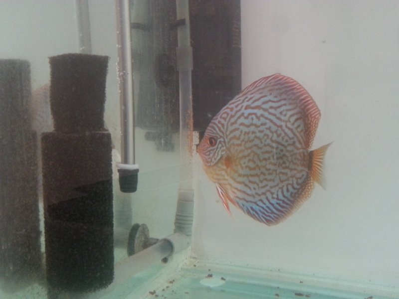 20170119_152837.jpg