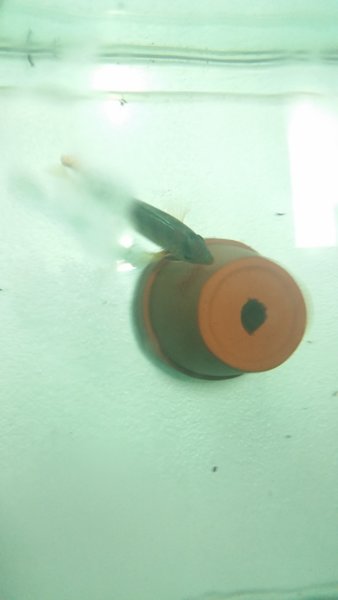 20170302_202910.jpg
