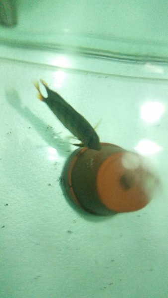 20170303_211934.jpg