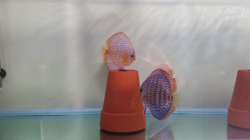 20170416_121513.jpg