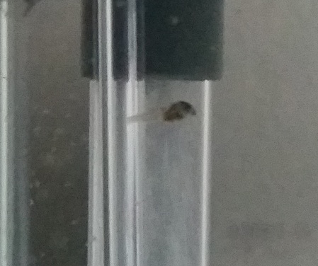 20170416_121748.jpg