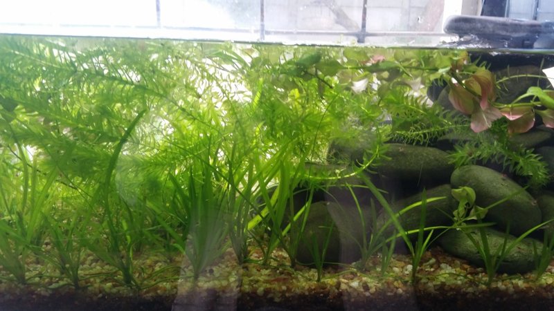 20170506_101556.jpg