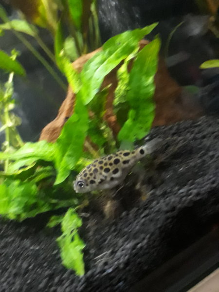 20170510_125223.jpg