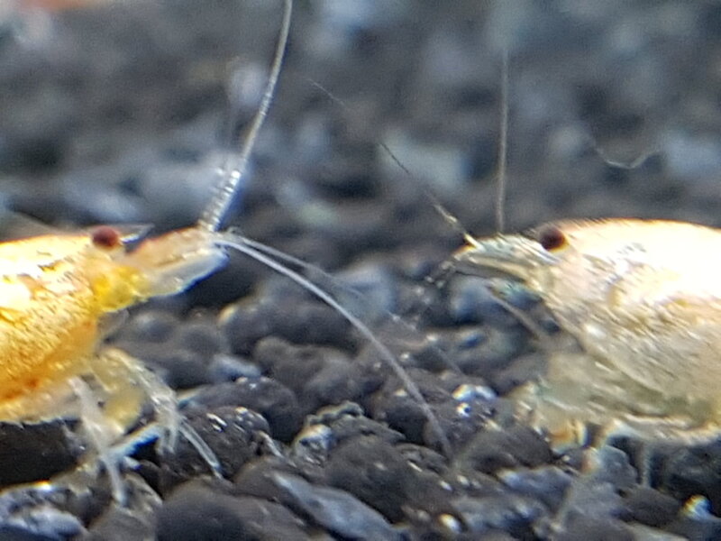 20180328_184039.jpg