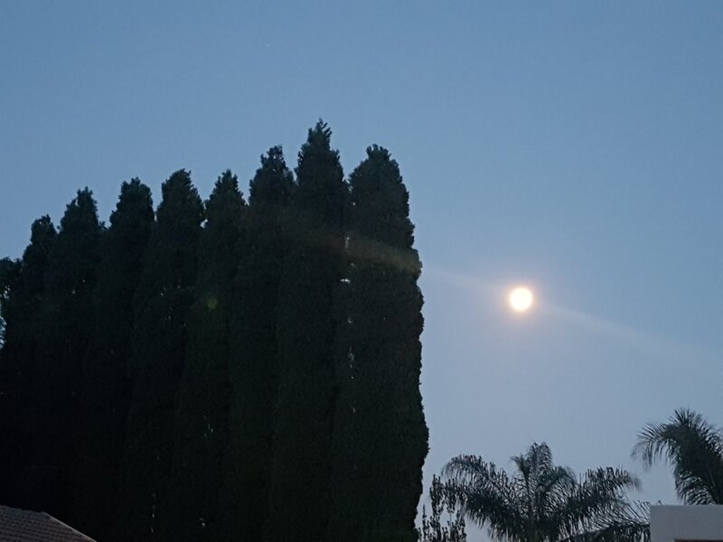 20180329_183122.jpg