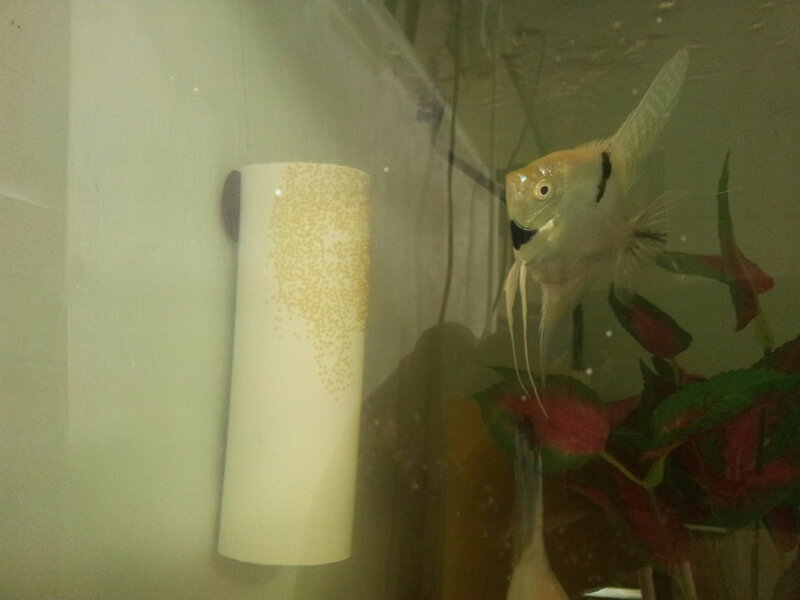 20180331_090248.jpg